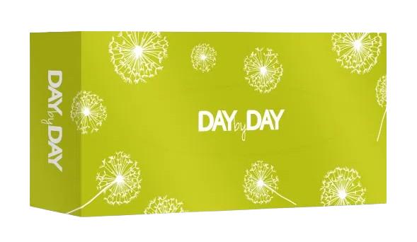 Day By Day chusteczki, 3-warstwowe, zielone, 90 szt.