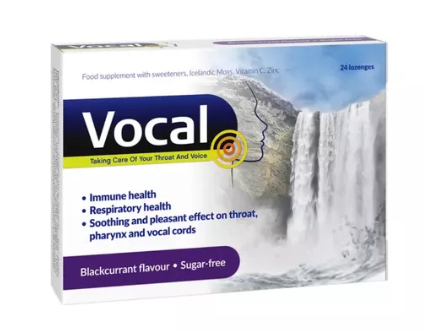 Vocal czarna porzeczka, 24 pastylki