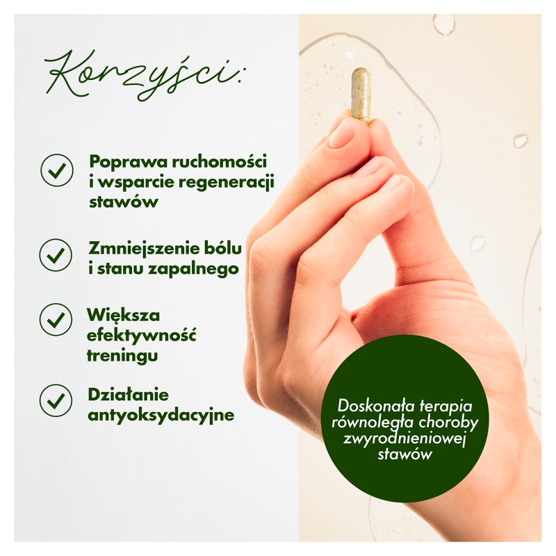 Athero Flex, kapsułki ze składnikami wspomagającymi tkanki łączne, 30 szt.