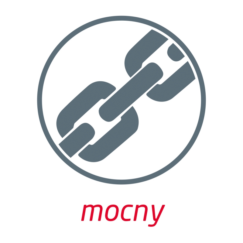 Leukoplast Strong , plaster wodoodporny 6 cm x 100 cm, 1 szt.