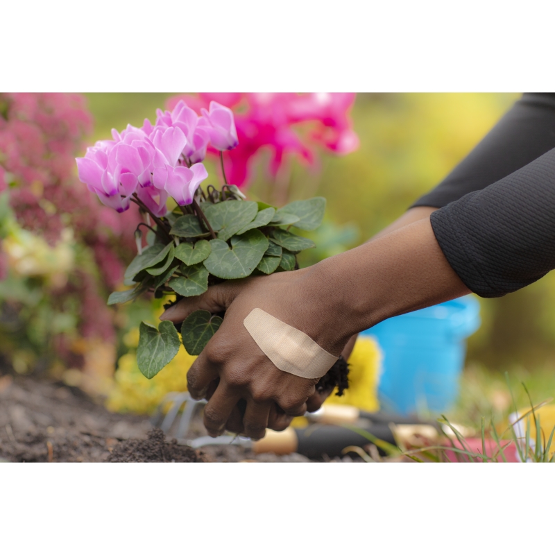 Viscoplast Duo, plastry bezbolesne podczas odklejania dla skóry, 8 szt.