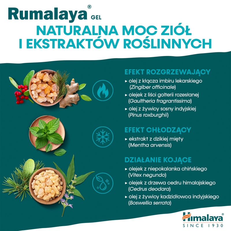 Himalaya Rumalaya Gel, żel do masażu łagodzący ból, 50 g.