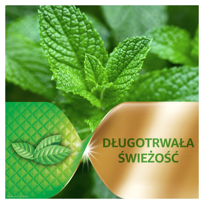 Corega Power Max Mocowanie + Świeżość, Krem mocujący do protez, mocno miętowy, 40 g