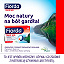 Fiorda MAX MD, pastylki do ssania , 30 szt.