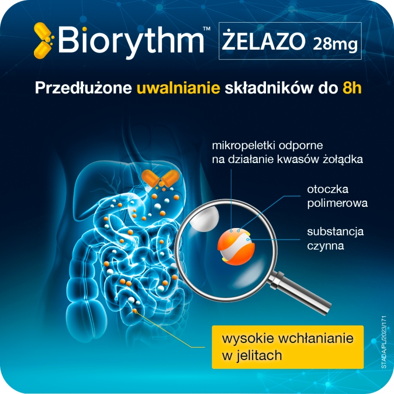 Biorythm Żelazo, kapsułki o przedłużonym uwalnianiu ze składnikami uzupełniającymi dietę w żelazo, 30 szt.