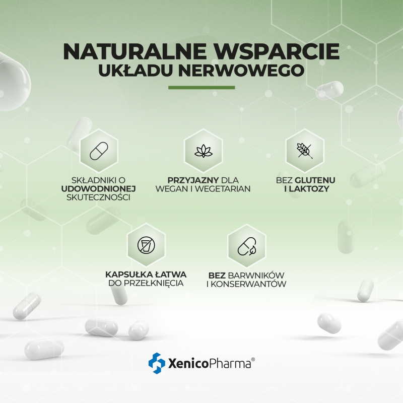 Ginkomag Plus, kapsułki z lecytyną  magnezem i witaminą B6, 120 szt.