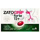 Zatogrip forte 12+, tabletki powlekane ze składnikami wzmacniającymi odporność, 15 szt. tabletki powlekane ze składnikami wzmacniającymi odporność, 15 szt.