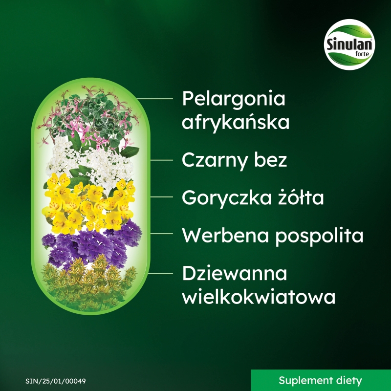 Sinulan Forte, tabletki ze składnikami wspierającymi odporność i drogi oddechowe, 30 szt.