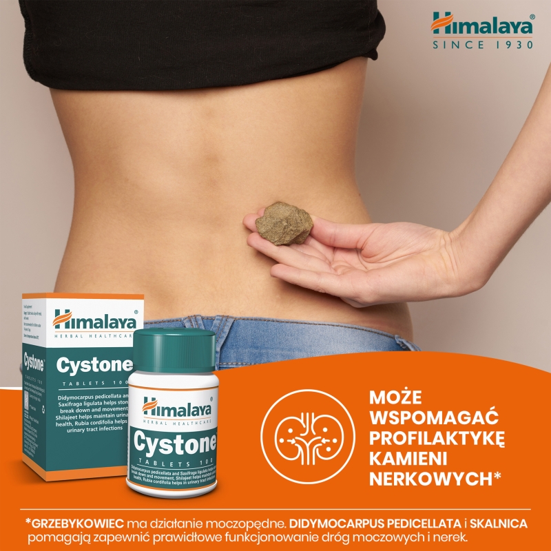 HIMALAYA Cystone , tabletki ze składnikami wspierającymi funkcjonowanie nerek i układu moczowo-płciowego, 100 szt.